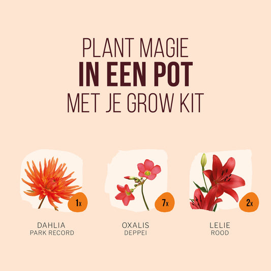 Plant Magic Grow Kit Rood/Oranje