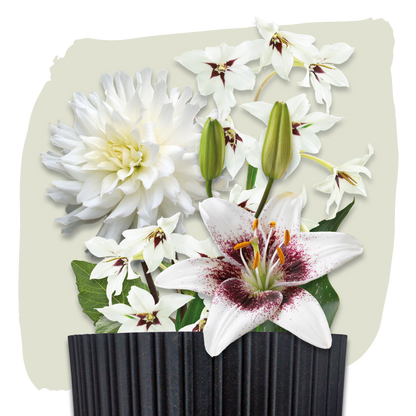 Plant Magic Grow Kit Wit