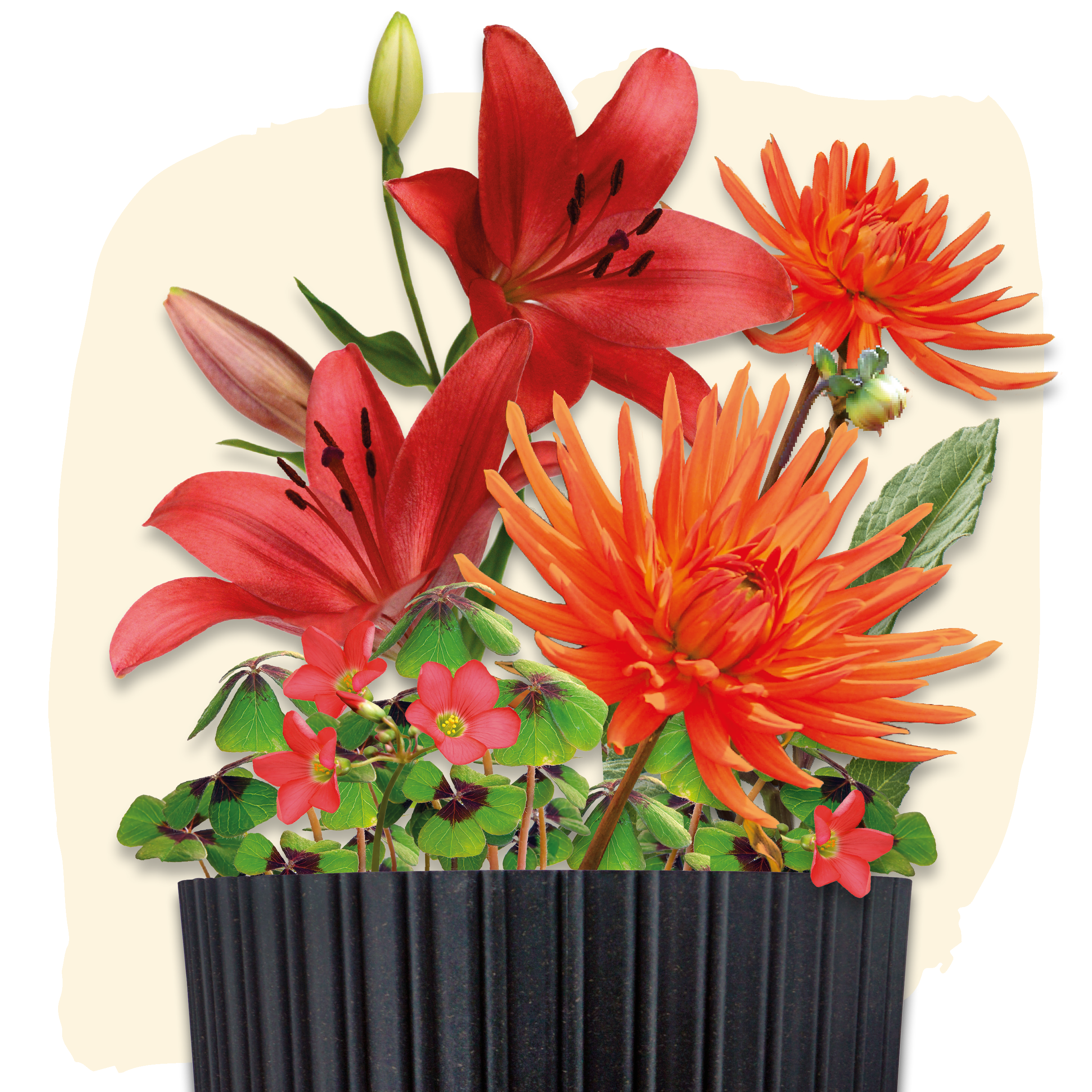 Plant Magic Grow Kit Rood/Oranje