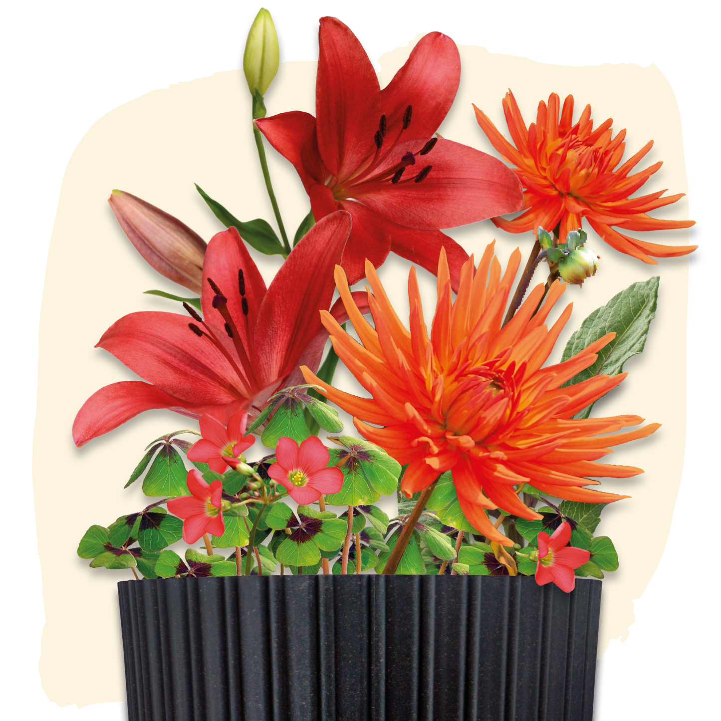 Plant Magic Grow Kit Rood/Oranje