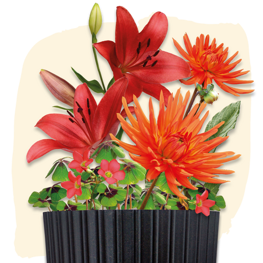 Plant Magic Grow Kit Rood/Oranje