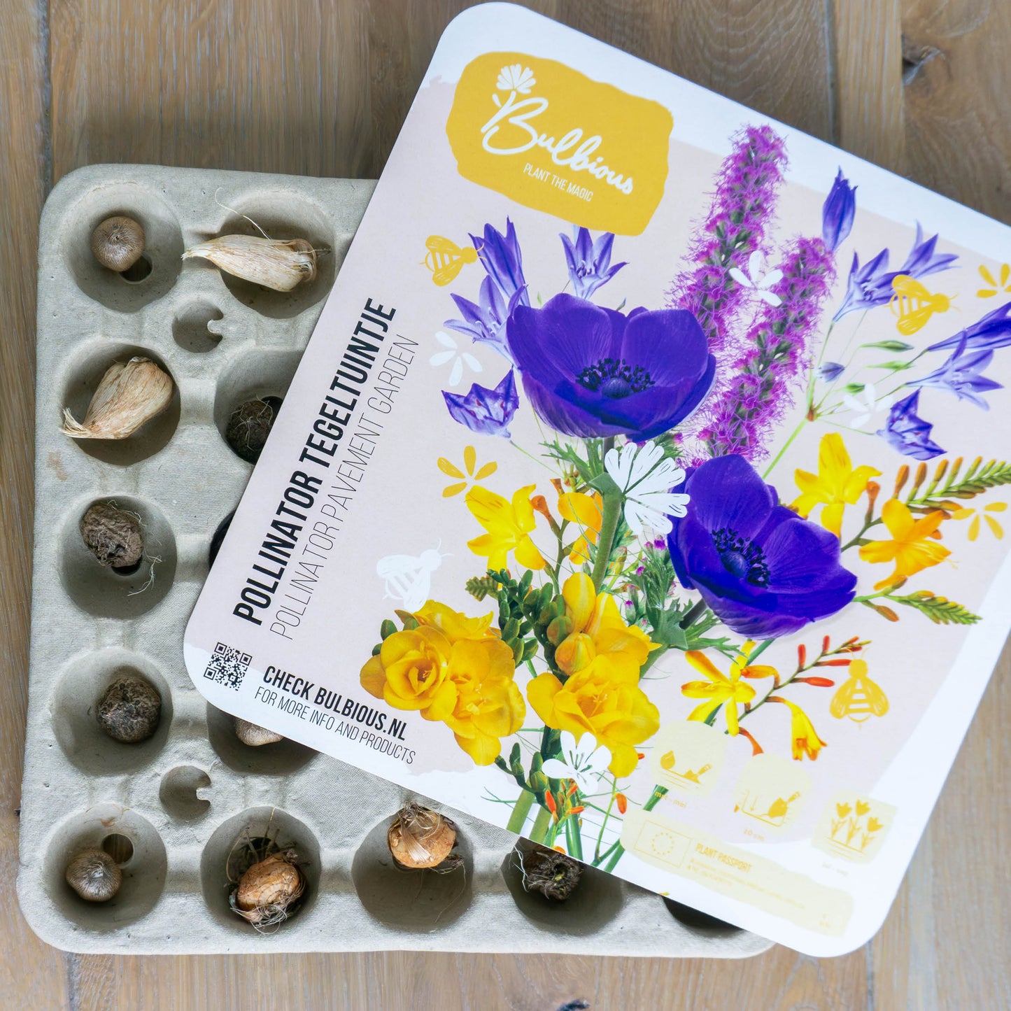 Zomer Pollinator Tegeltuintje