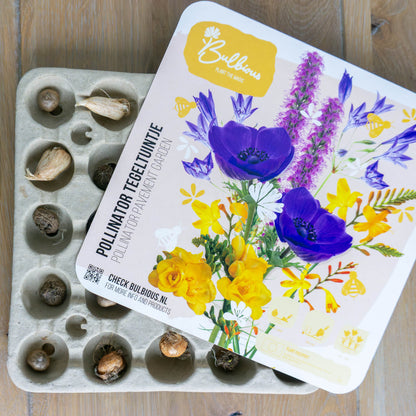 Zomer Pollinator Tegeltuintje