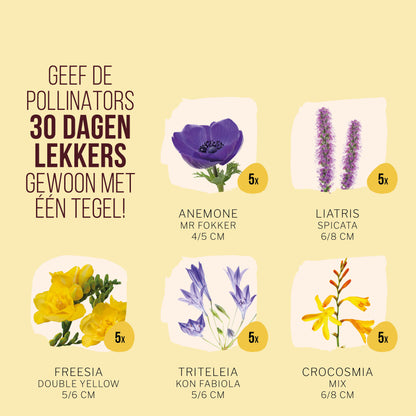Zomer Pollinator Tegeltuintje