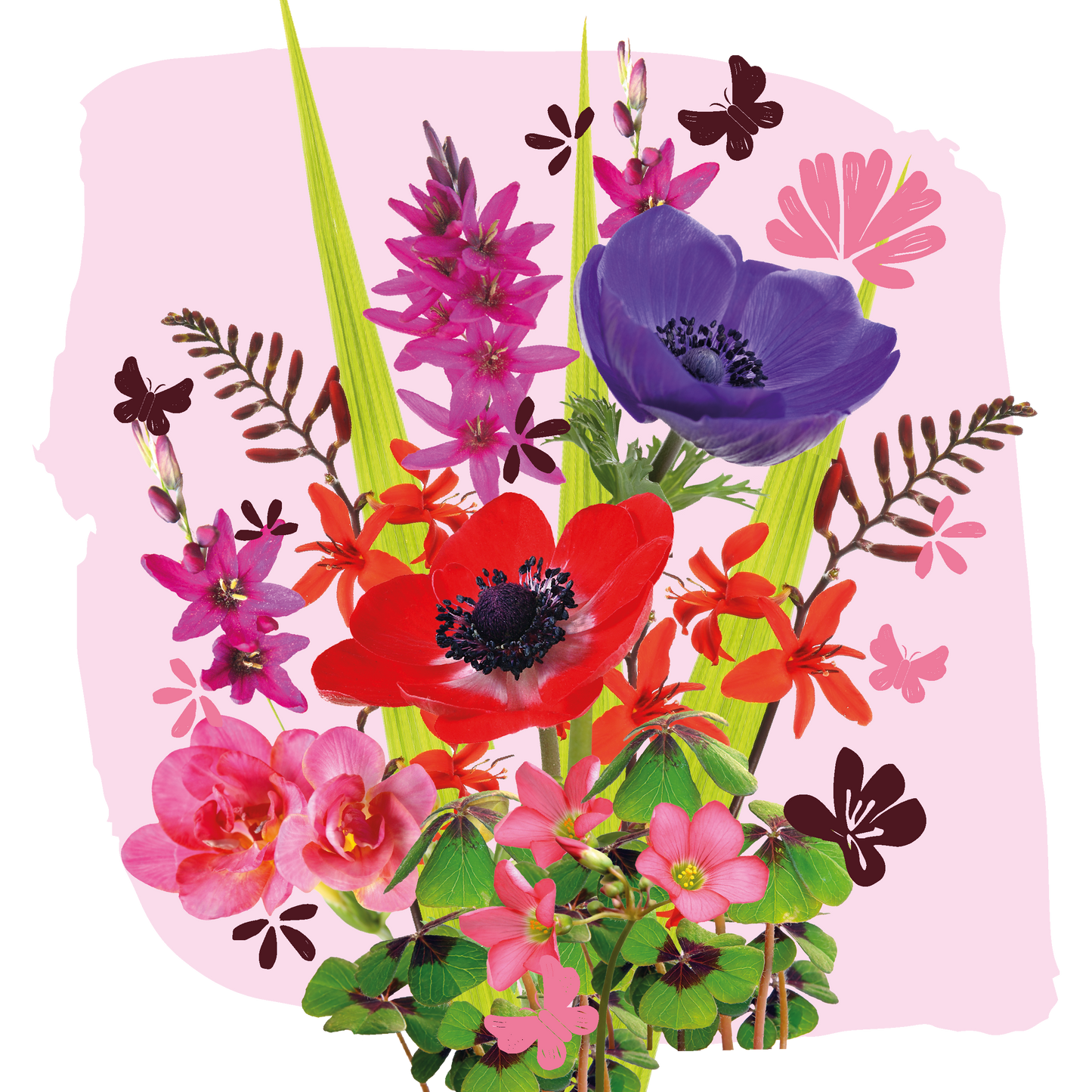 Magic Bloom Gift Tegeltuintje