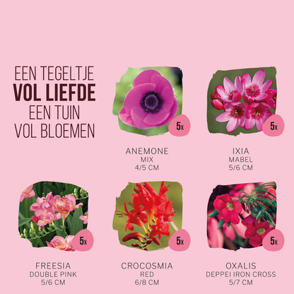 Magic Bloom Gift Tegeltuintje