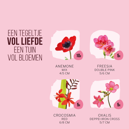 Magic Bloom Gift Tegeltuintje