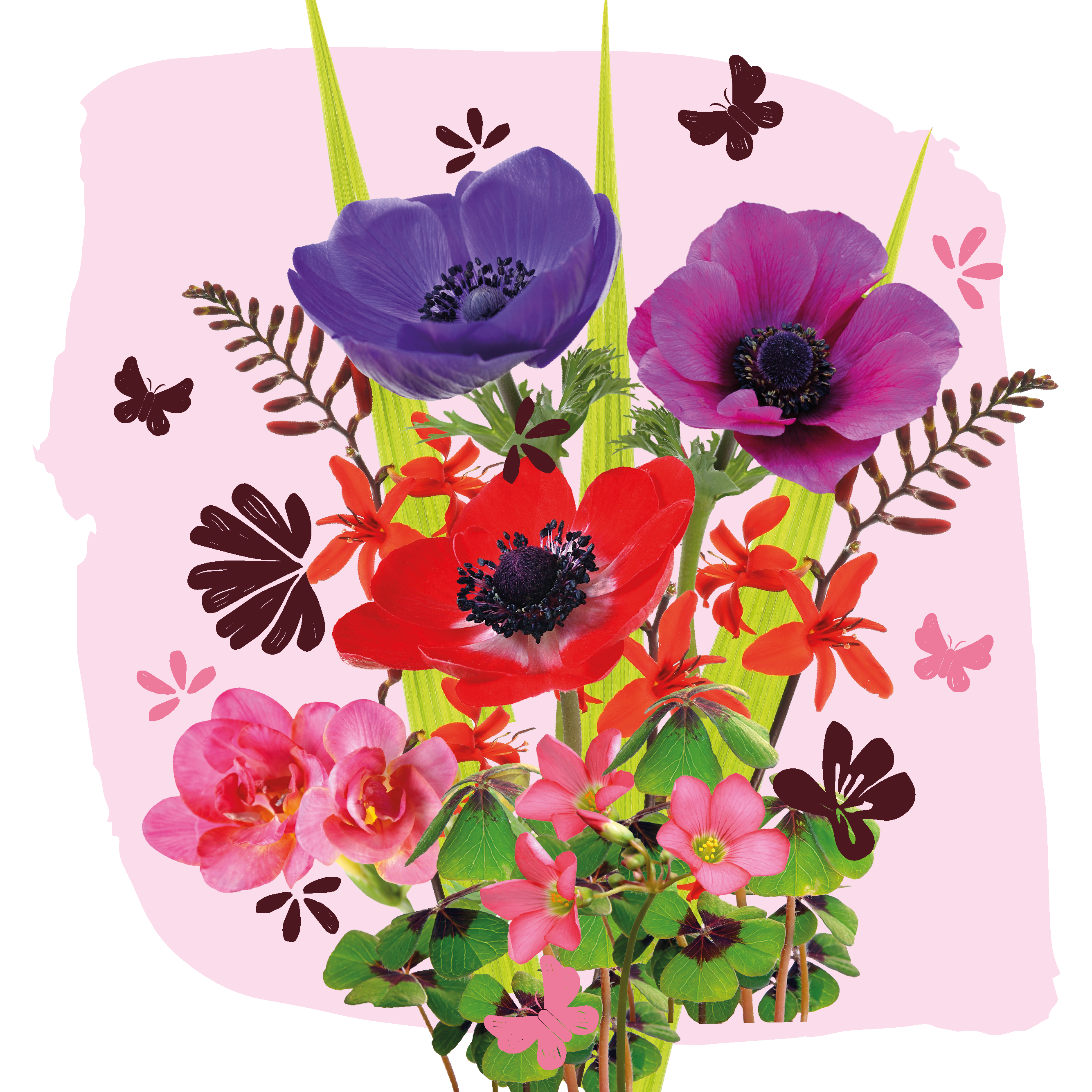 Magic Bloom Gift Tegeltuintje