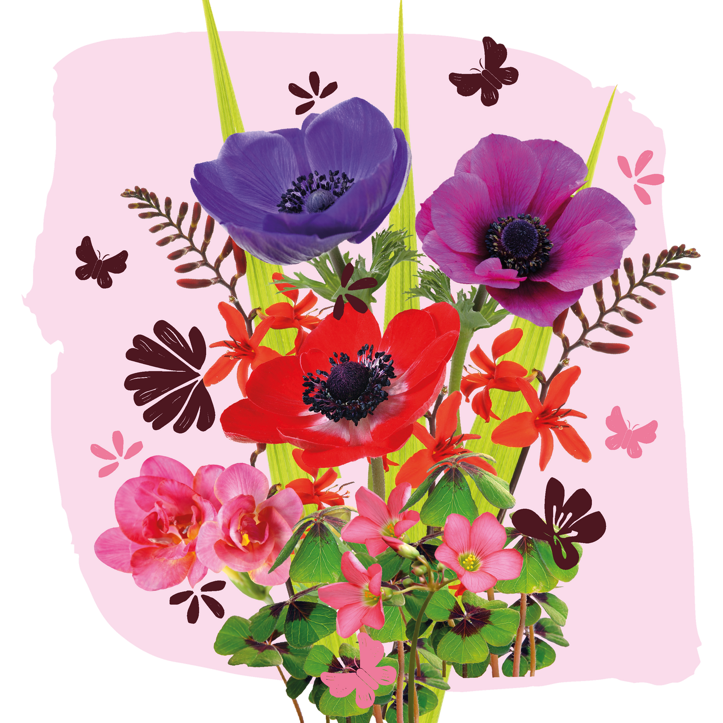 Magic Bloom Gift Tegeltuintje