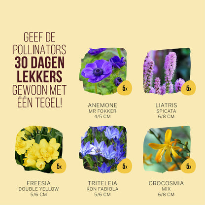 Zomer Pollinator Tegeltuintje