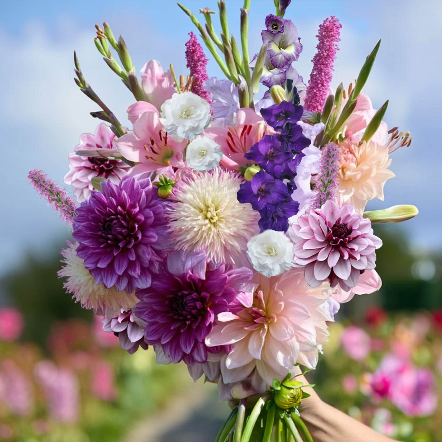 Bloembolpakket Velvet Memory