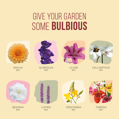 Bloembolpakket Maroon