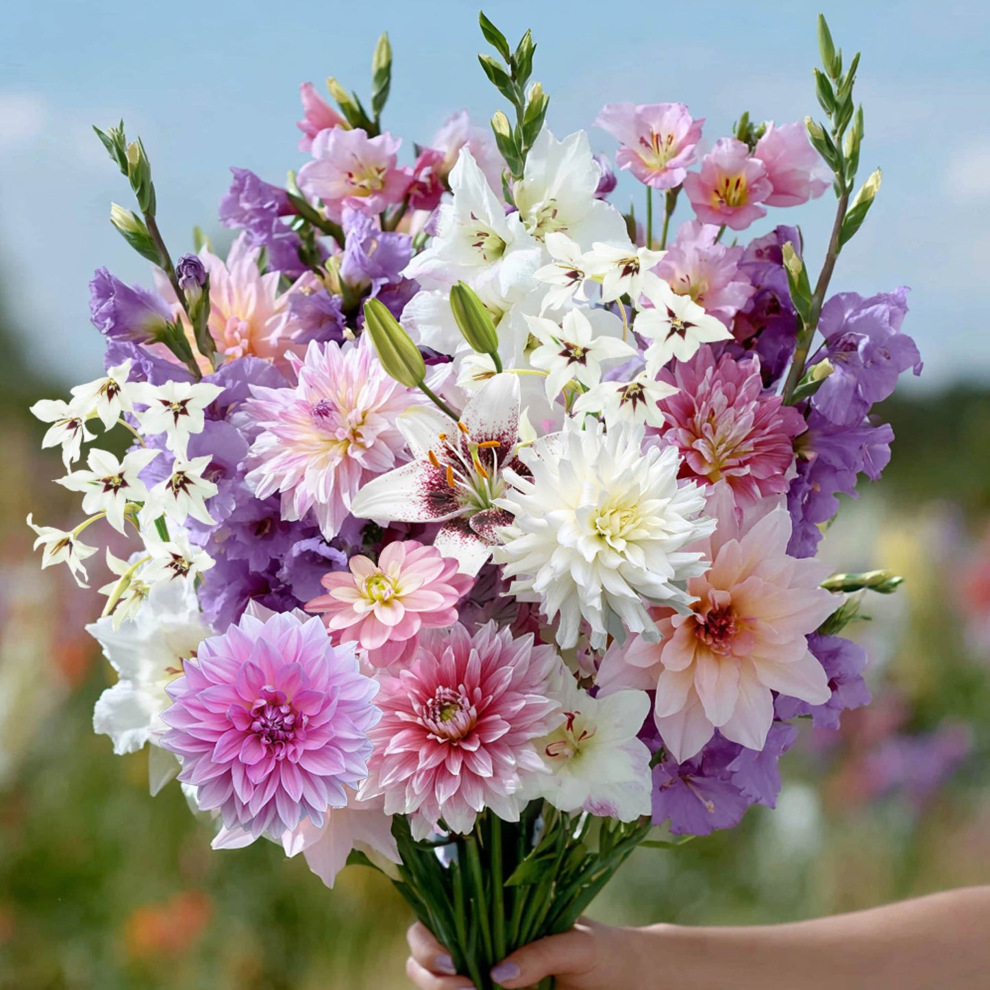 Bloembol Pakket Nostalgic Revival