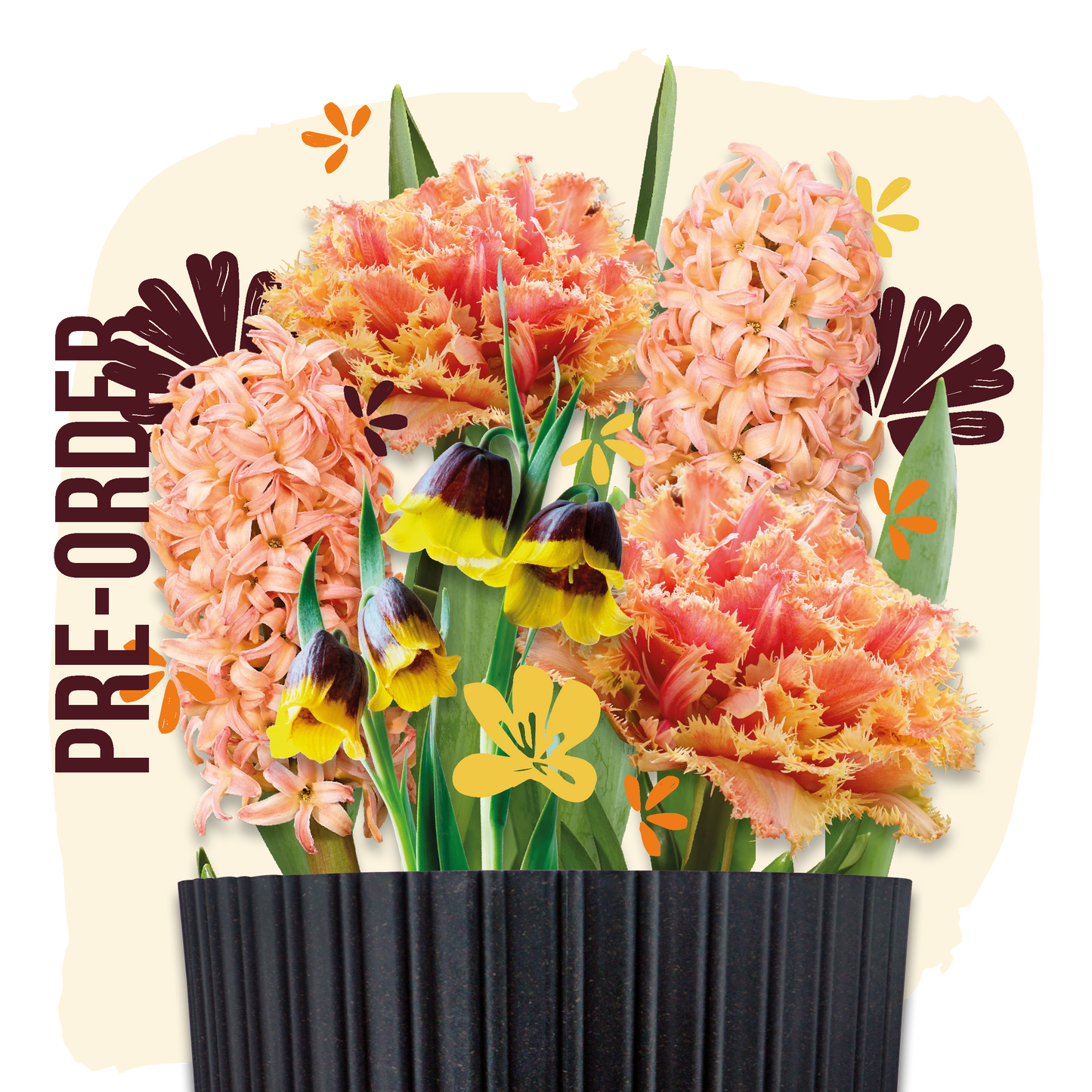bloembollen cadeau grow kit orange