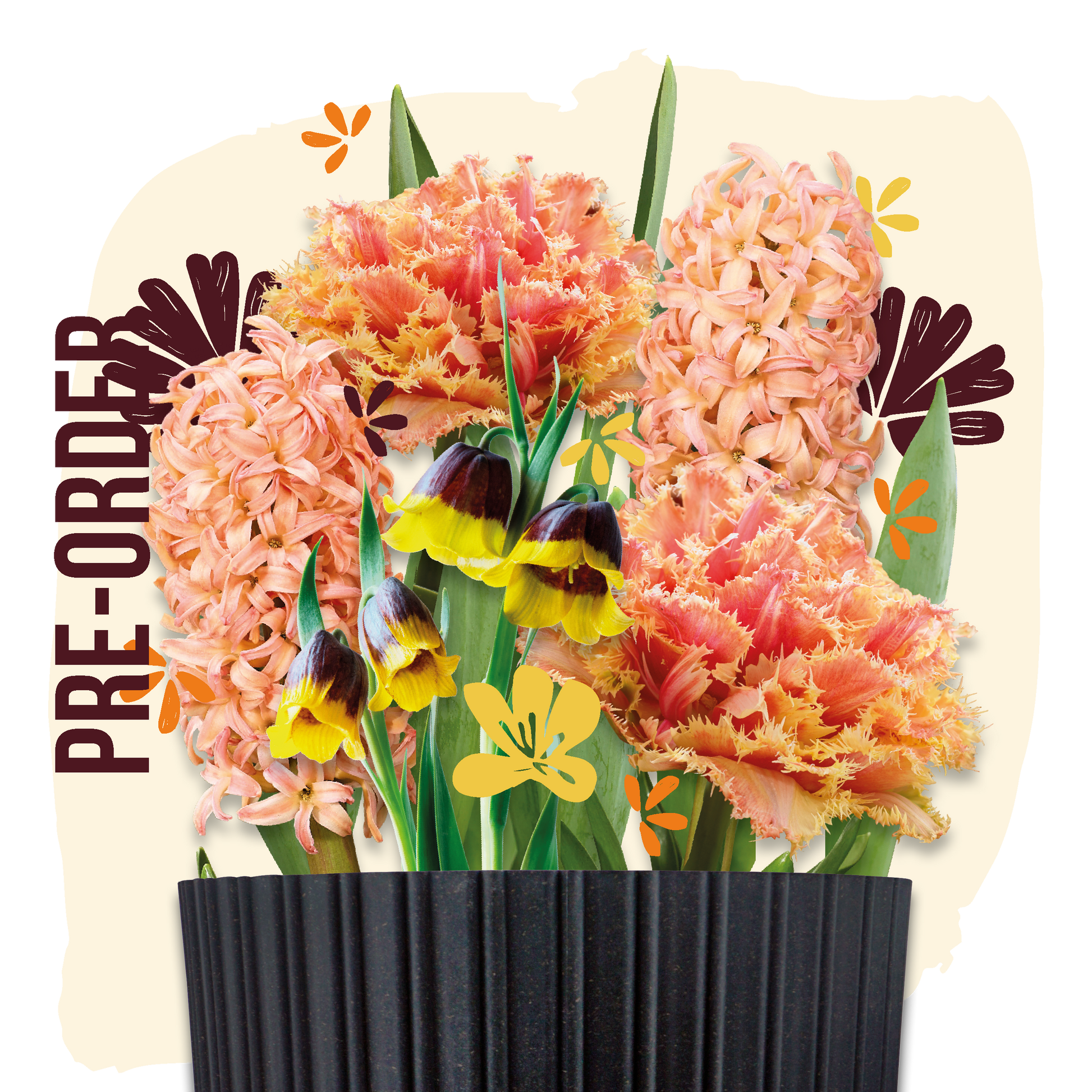 bloembollen cadeau grow kit orange