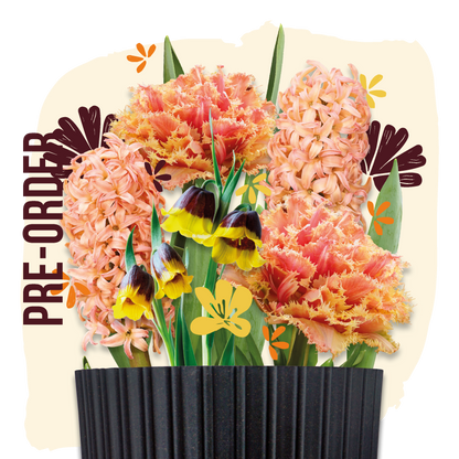 bloembollen cadeau grow kit orange