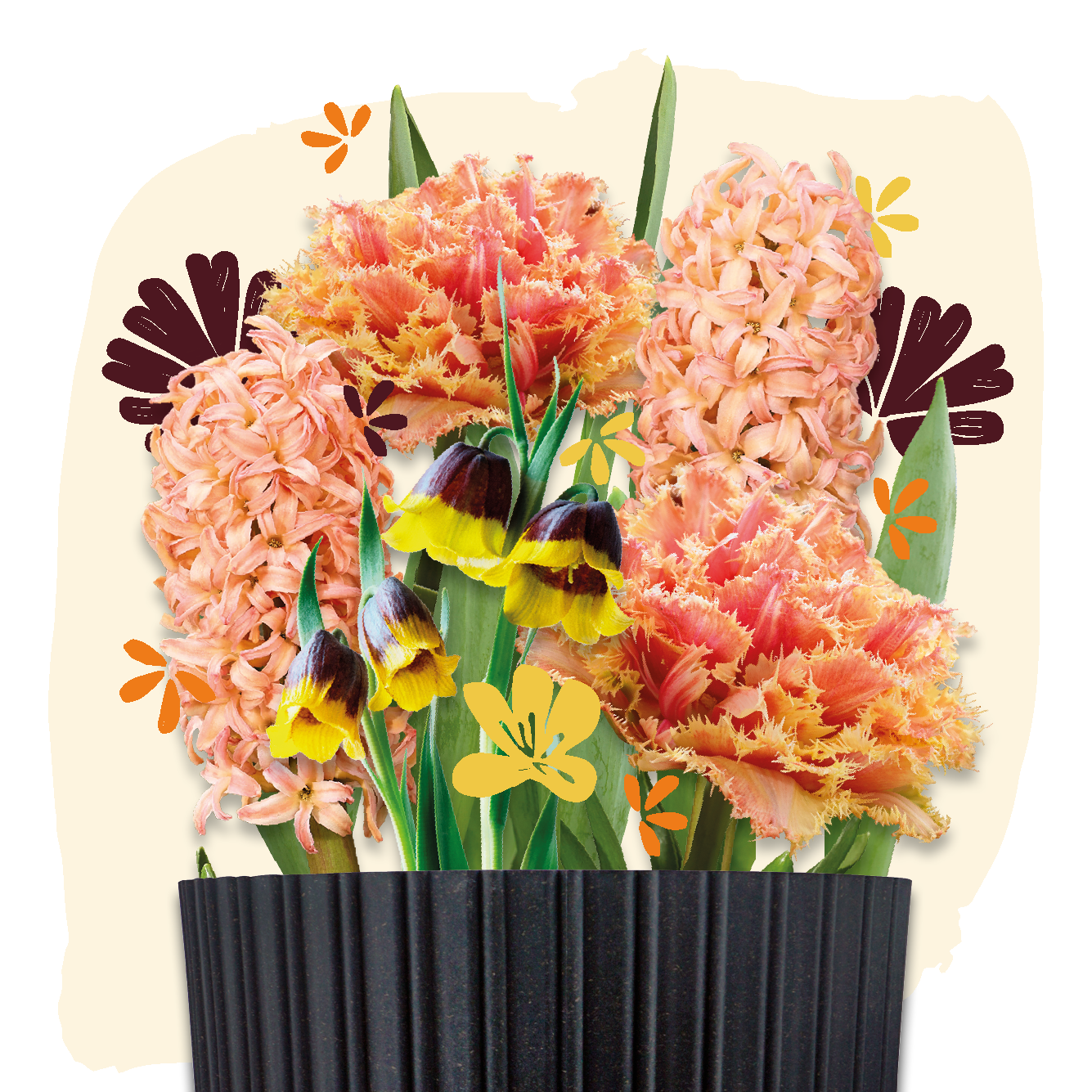 bloembollen cadeau grow kit orange