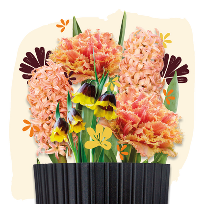 bloembollen cadeau grow kit orange