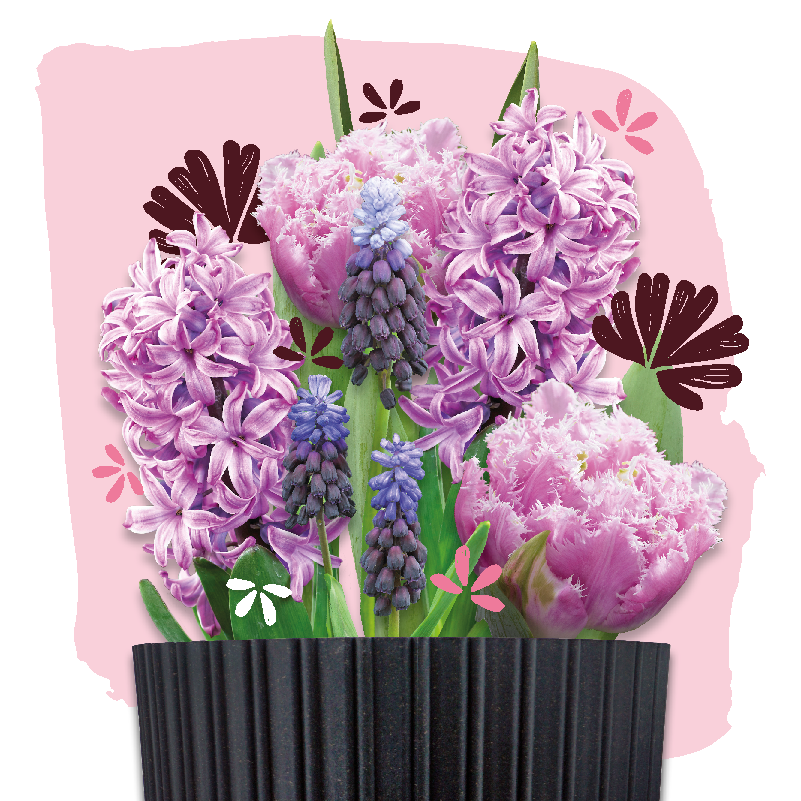 bloembollen cadeau grow kit pink