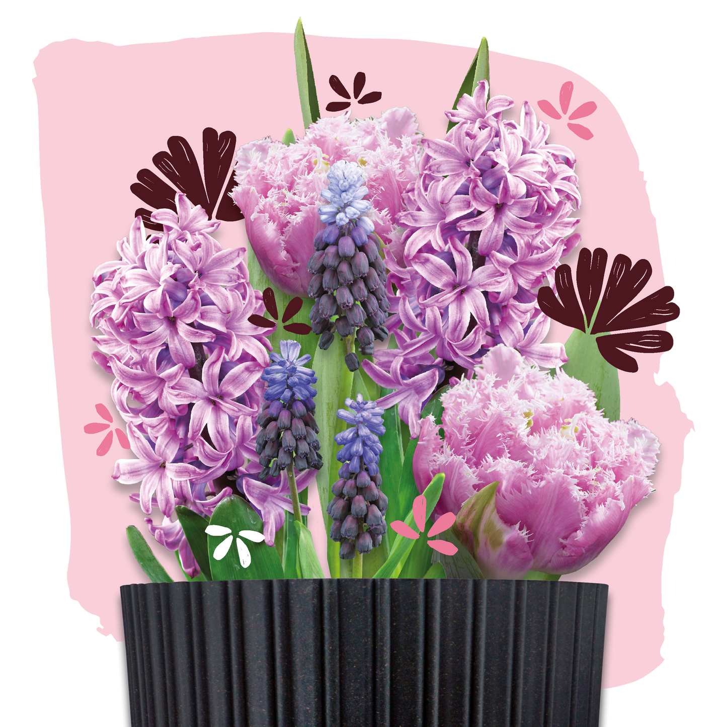 bloembollen cadeau grow kit pink