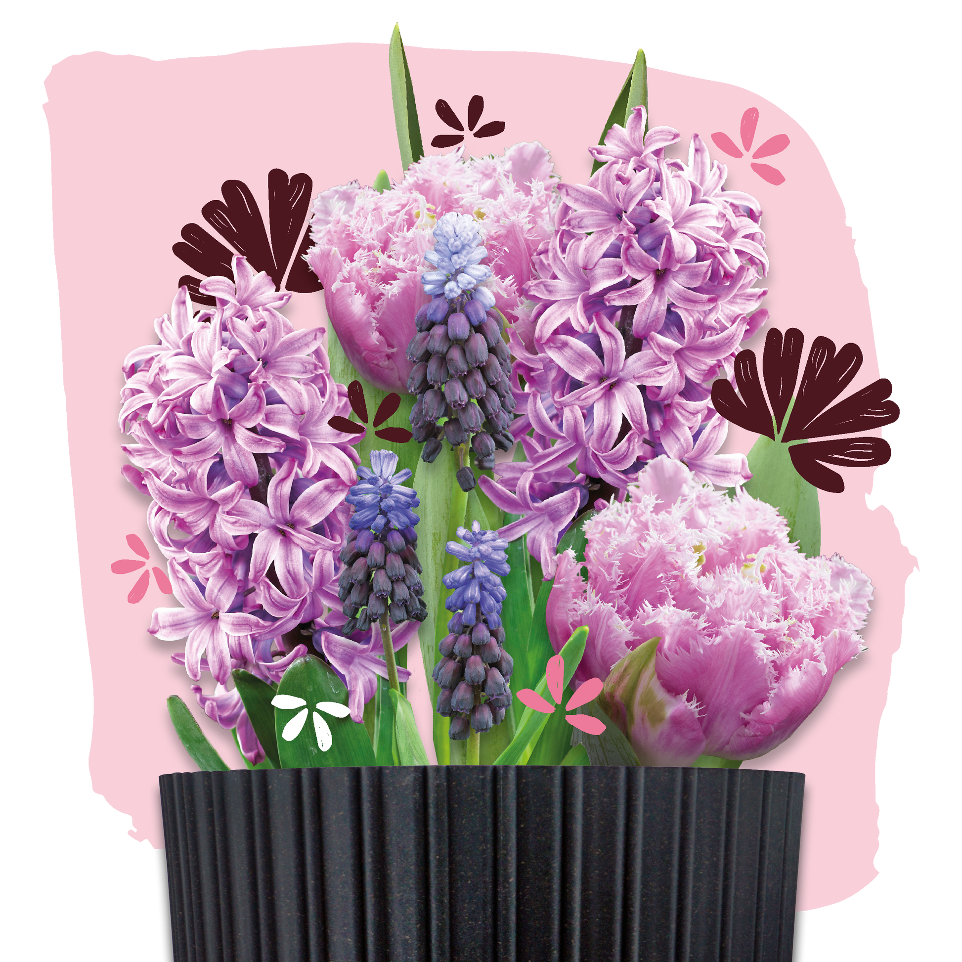 bloembollen cadeau grow kit pink