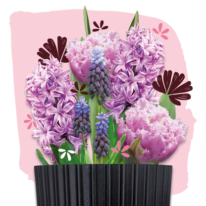 bloembollen cadeau grow kit pink