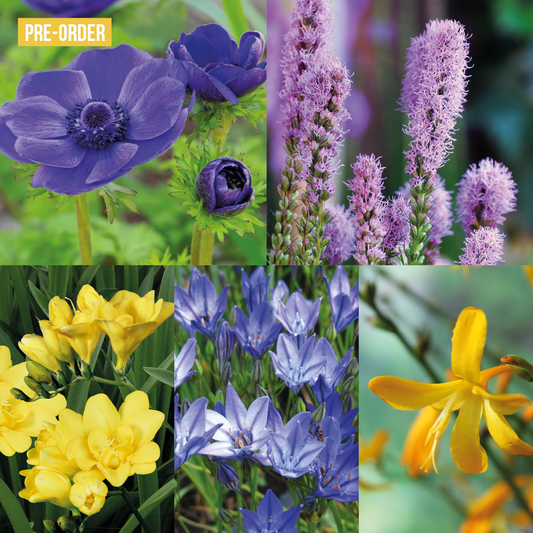 Zomer Pollinator Tegeltuintje