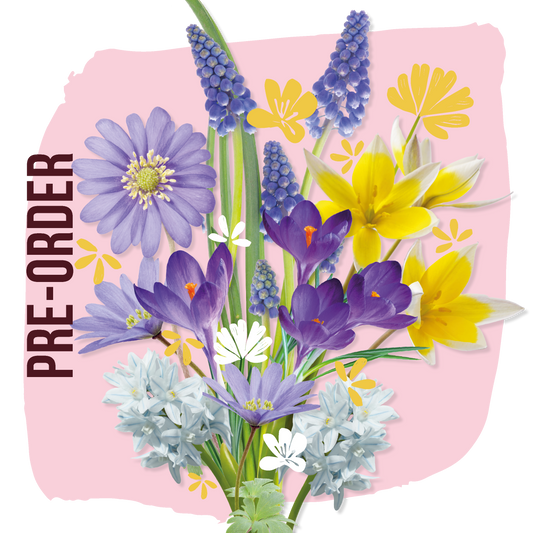 Brievenbus Pollinator Tegeltuintje