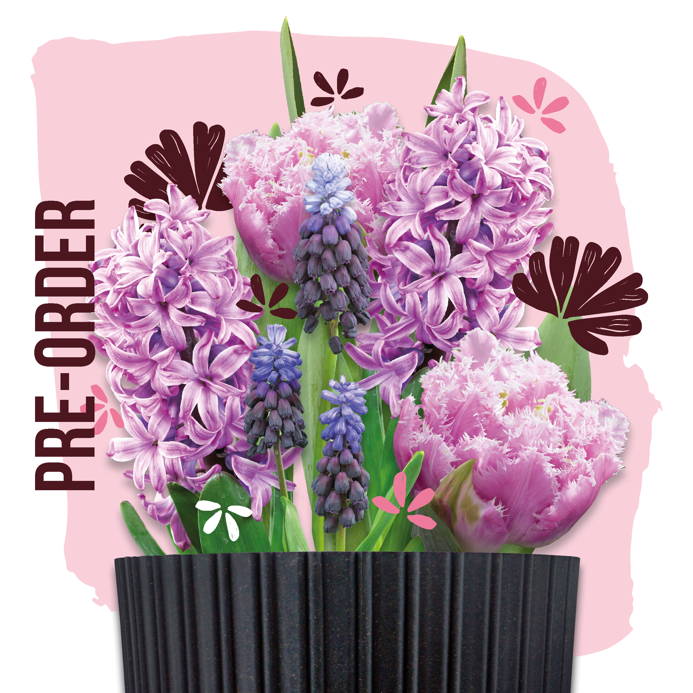 Grow Kit Pink