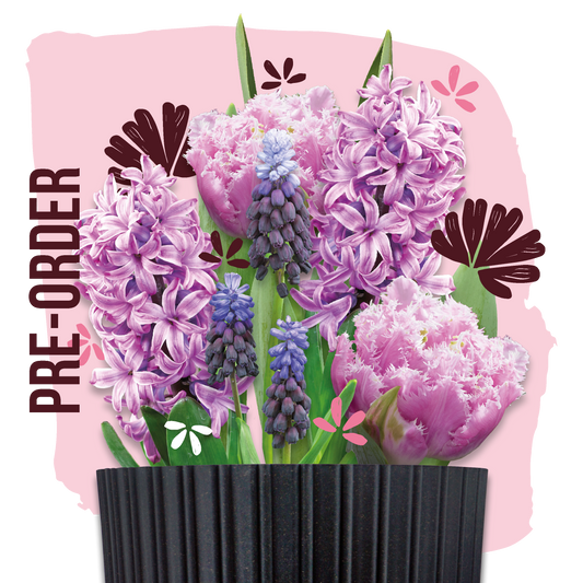 Grow Kit Pink