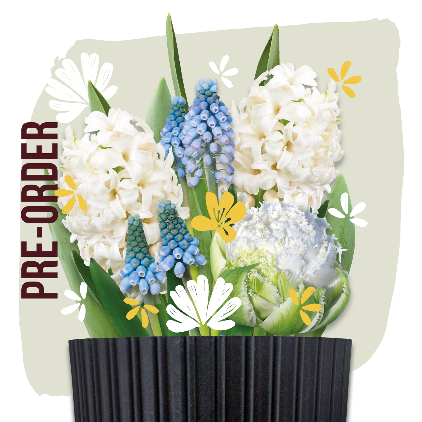 bloembollen cadeau grow kit white