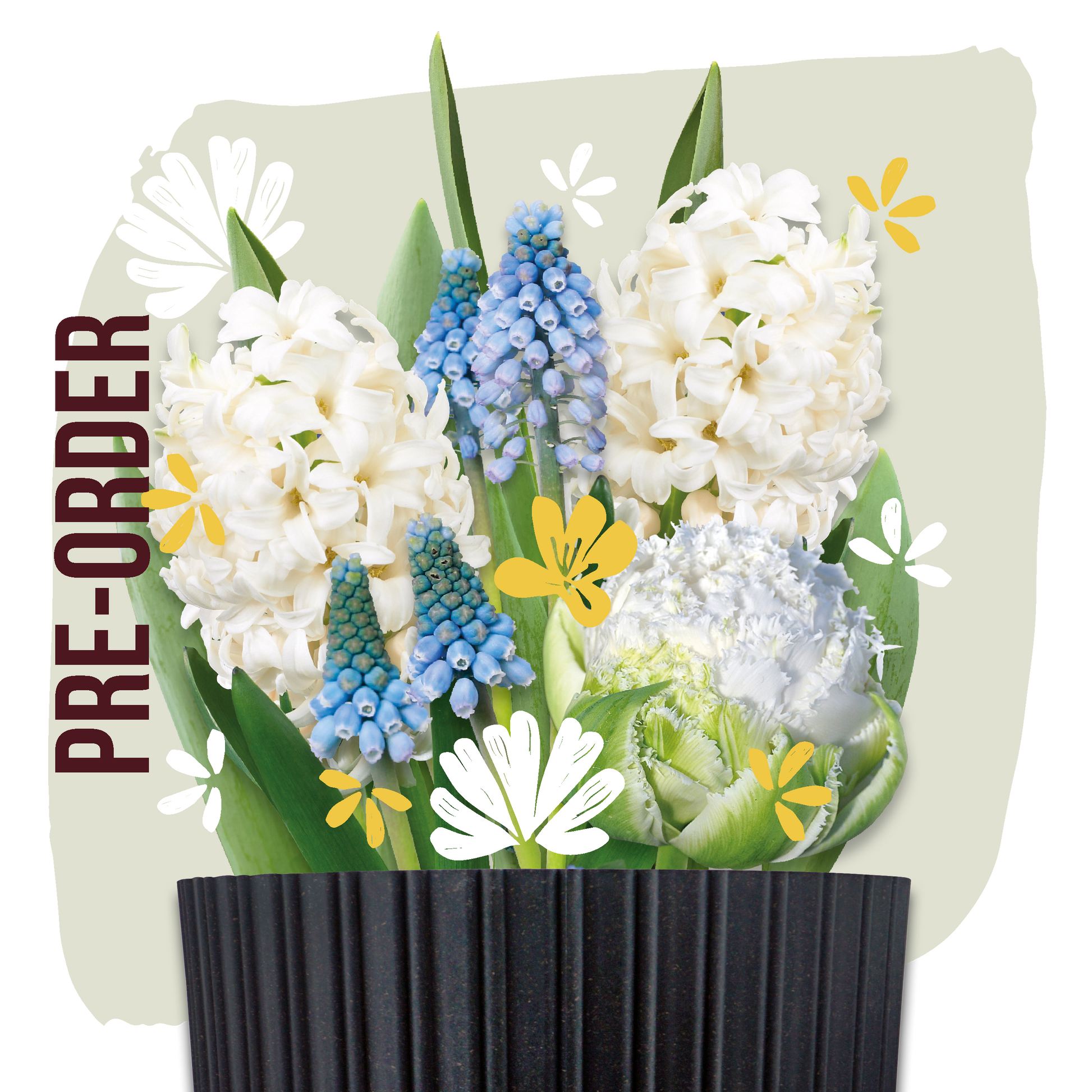 bloembollen cadeau grow kit white