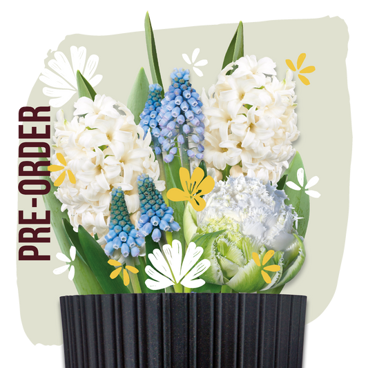 Grow Kit White
