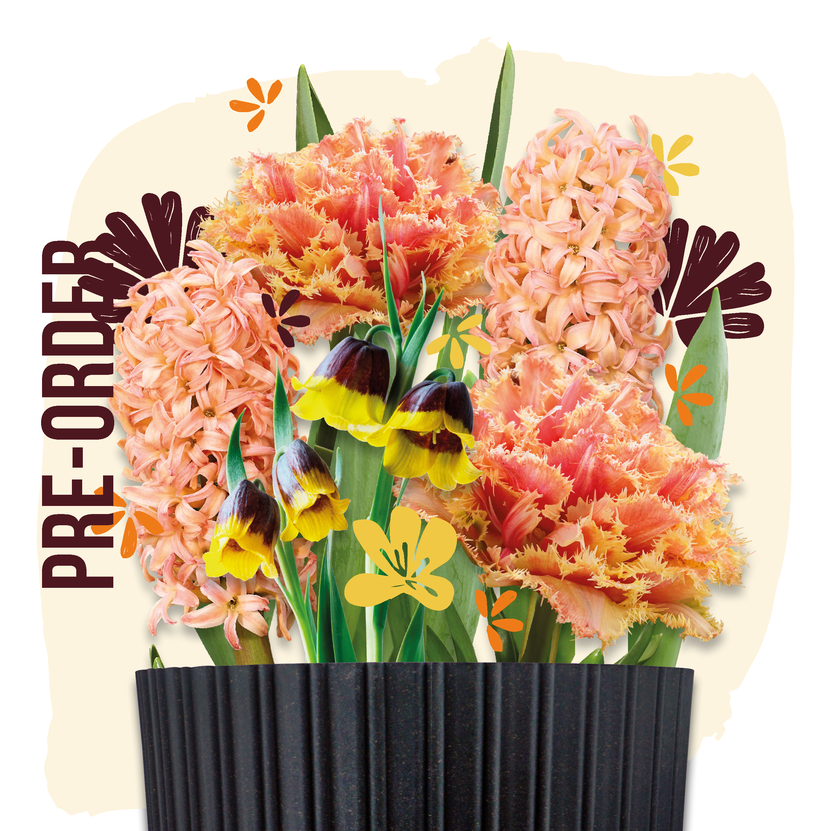 Grow Kit Orange