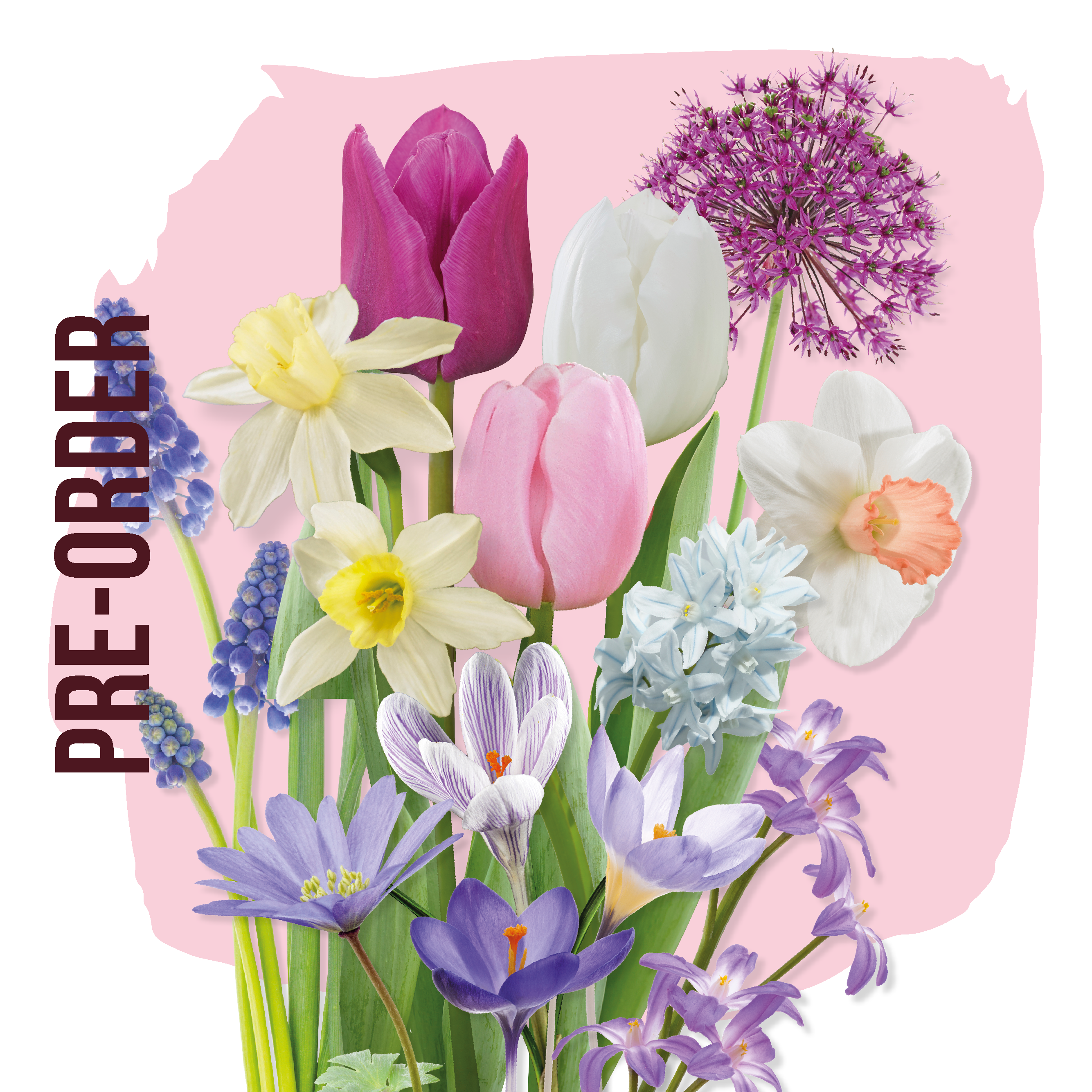 Bloembol pakket Pastel