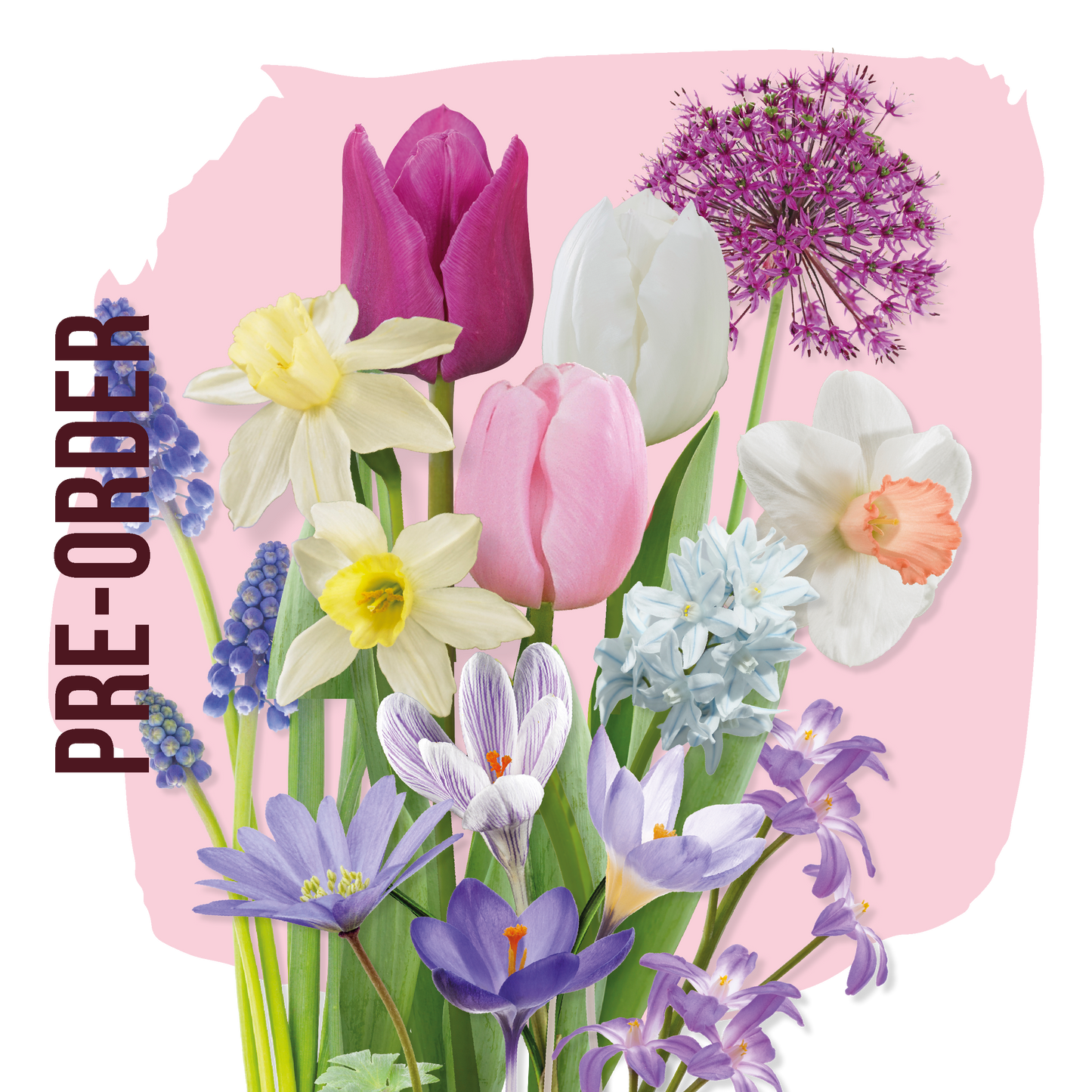 Bloembolpakket Pastel