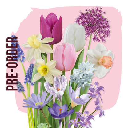 Bloembolpakket Pastel