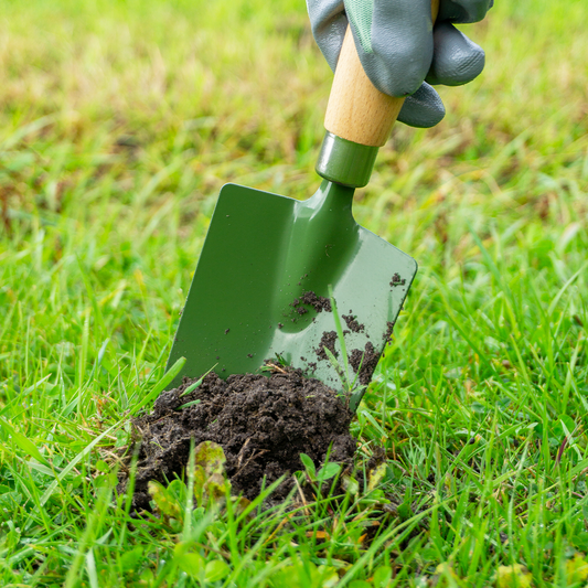 Bulbious tuinschep
