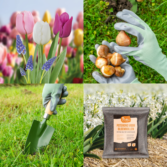 Starterspakket Pastel - 10% korting