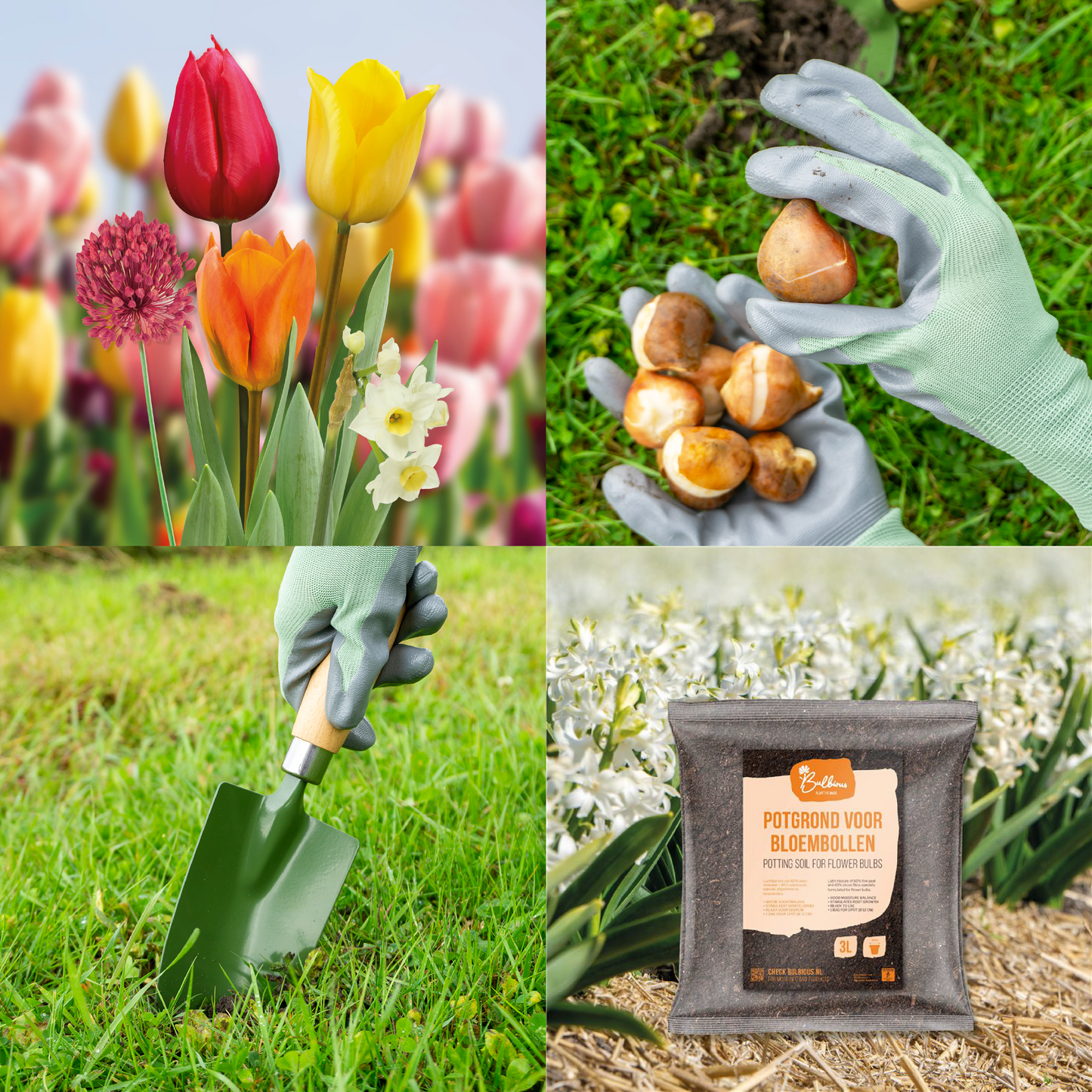 Starterspakket Terra - 10% korting