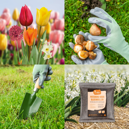 Starterspakket Terra - 10% korting